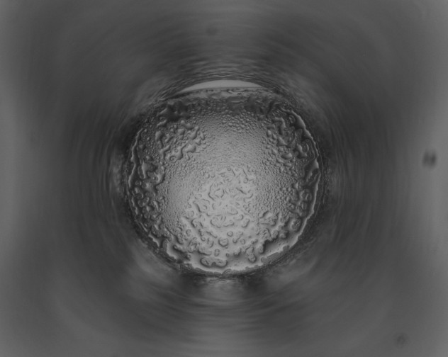 X0000091210185200708231616