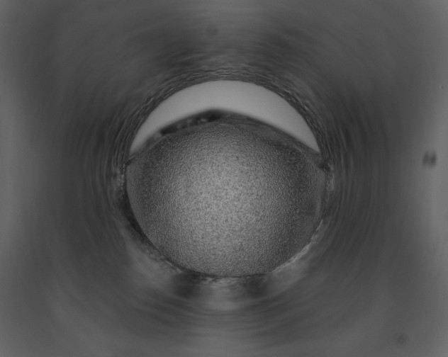 X0000091210186200708231616