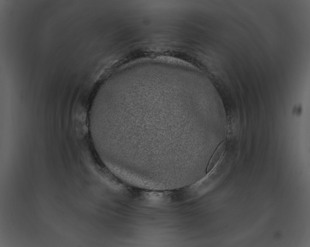 X0000091210187200708231616