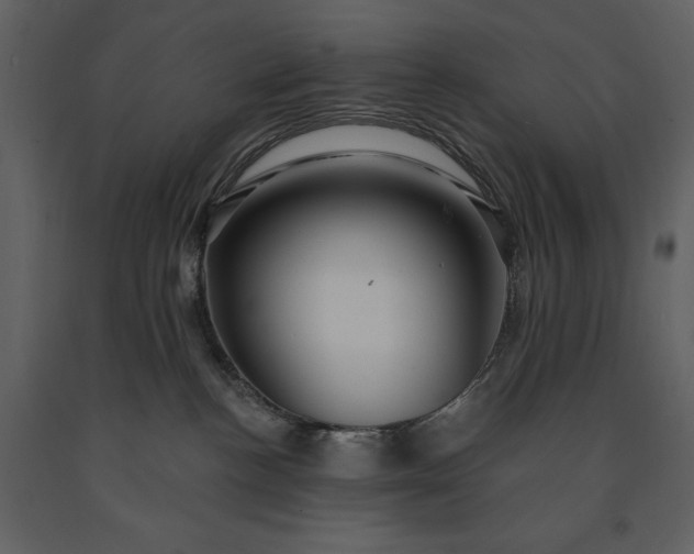 X0000091210188200708231616