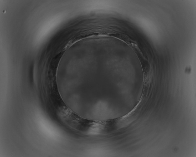 X0000091210191200708231616