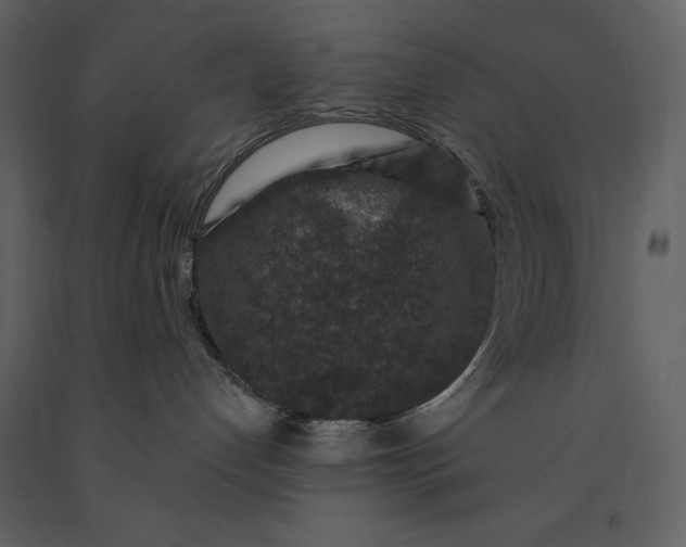 X0000091210192200708231616