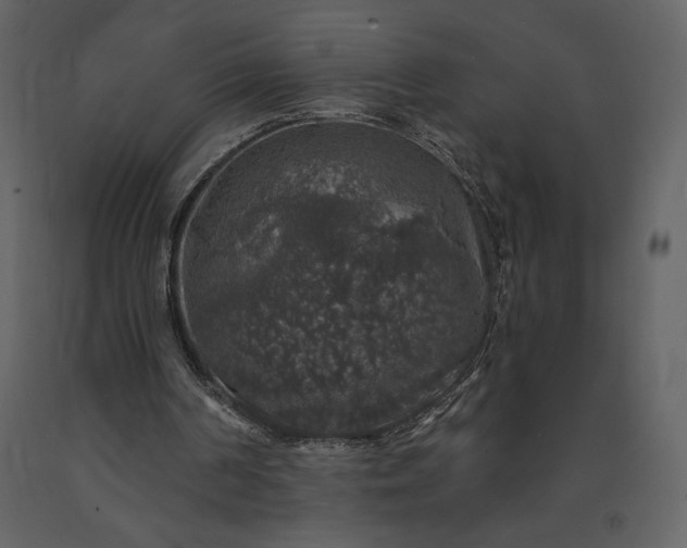 X0000091210194200708231615