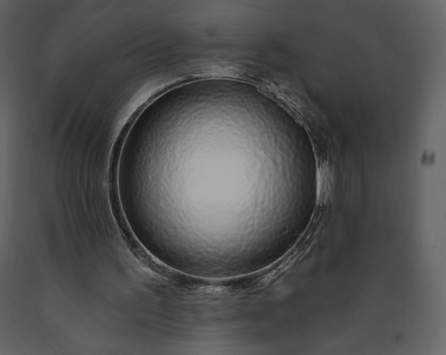 X0000091210195200708231615