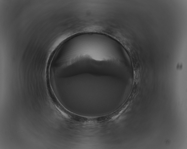 X0000091210196200708231615