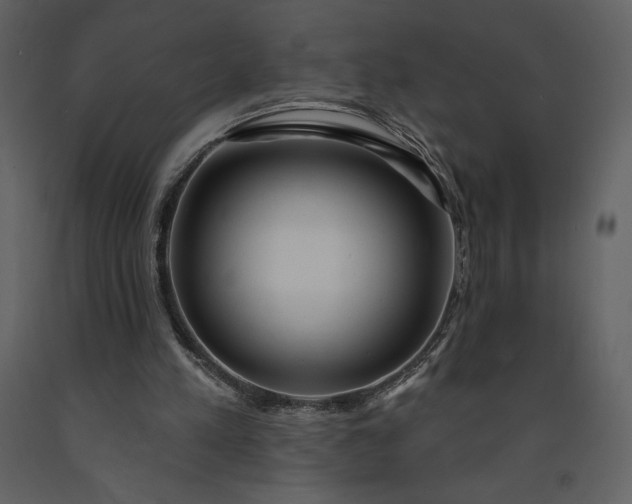 X0000091210197200708231615