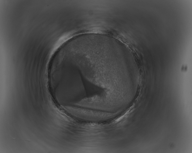 X0000091210198200708231615