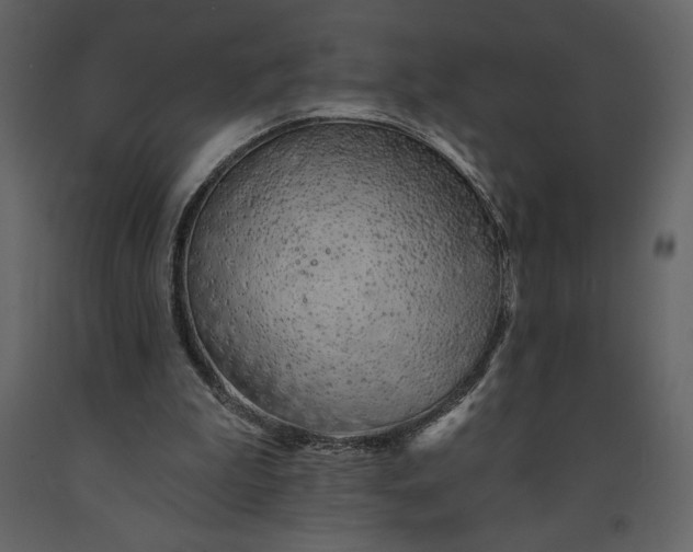 X0000091210199200708231615