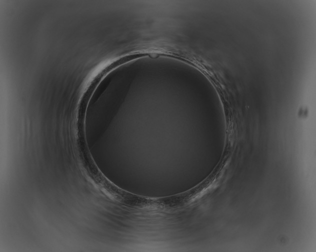 X0000091210200200708231615