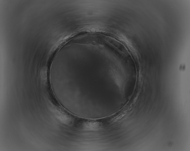 X0000091210202200708231615