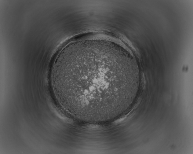 X0000091210203200708231615