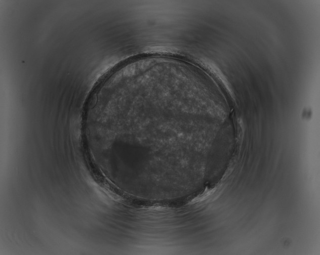 X0000091210204200708231615