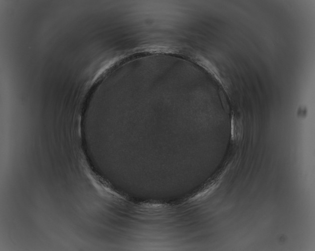 X0000091210205200708231615