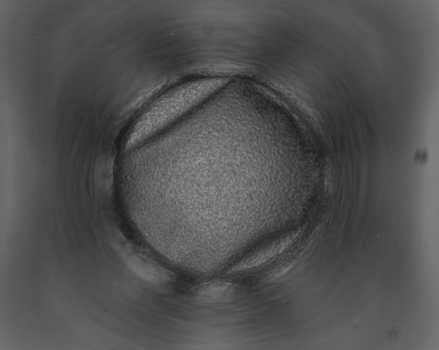 X0000091210206200708231615