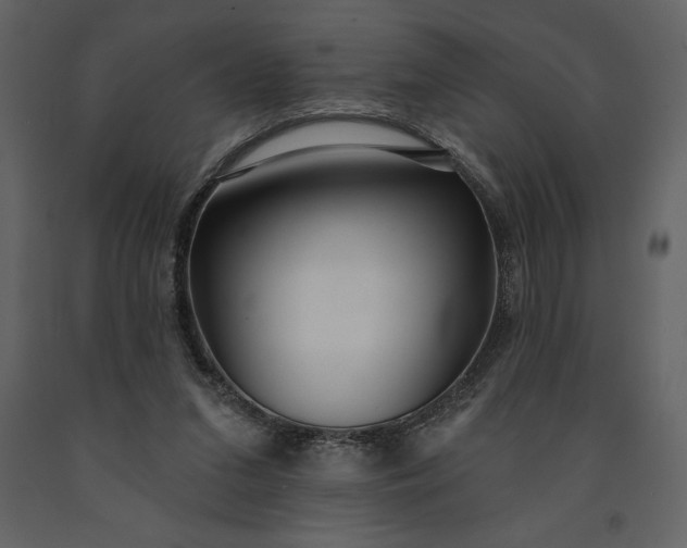 X0000091210207200708231615