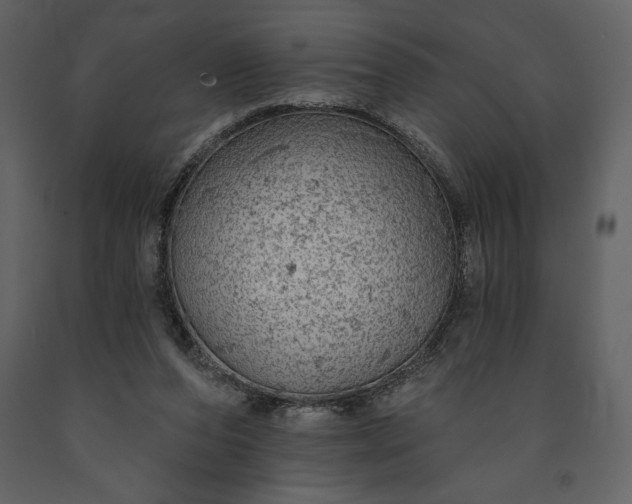 X0000091210208200708231615