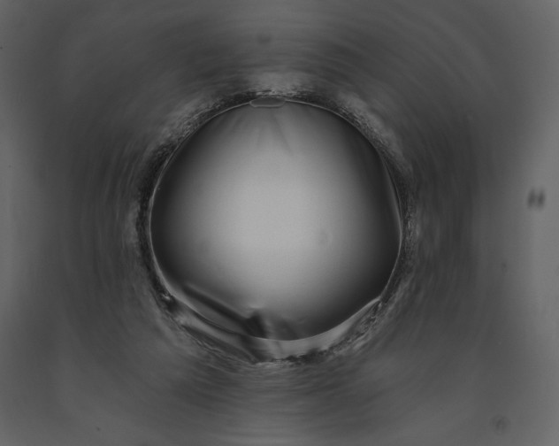 X0000091210209200708231615