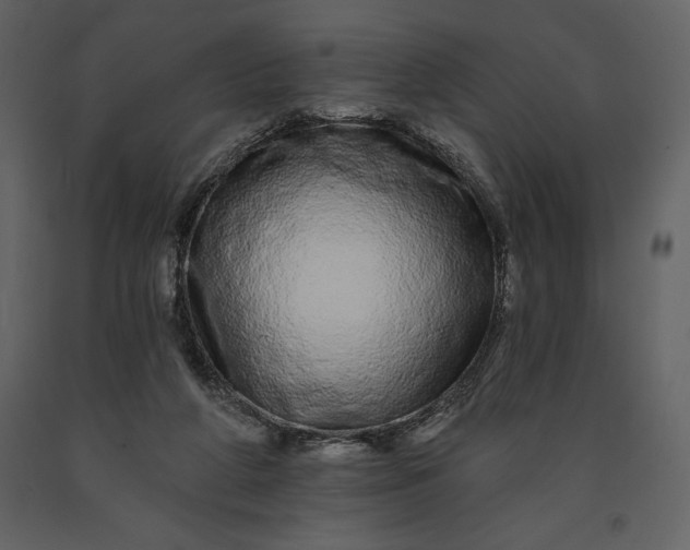 X0000091210210200708231615