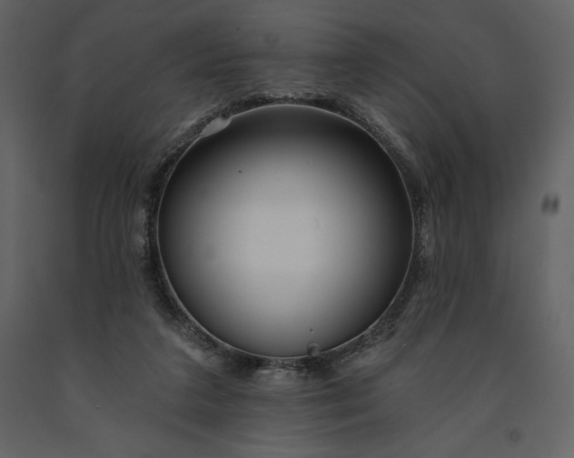 X0000091210211200708231615