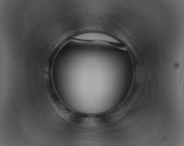 X0000091210212200708231615