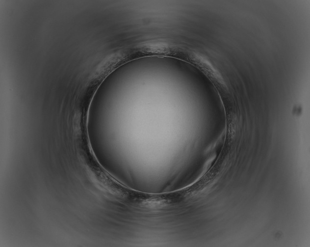 X0000091210213200708231615