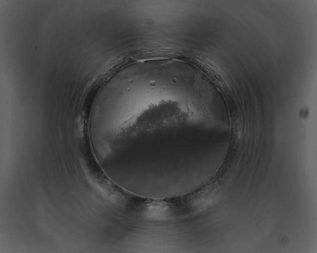 X0000091210214200708231615