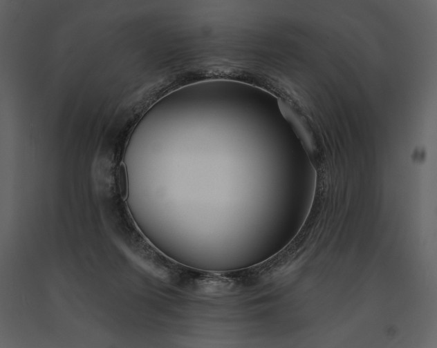 X0000091210215200708231615