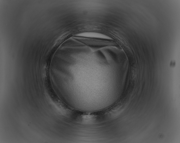 X0000091210216200708231615