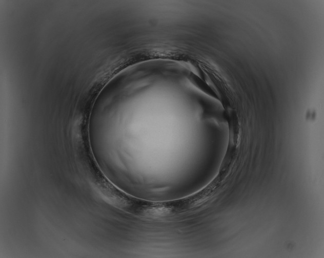 X0000091210217200708231615