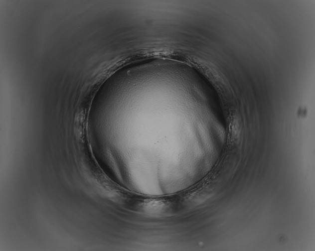 X0000091210218200708231615