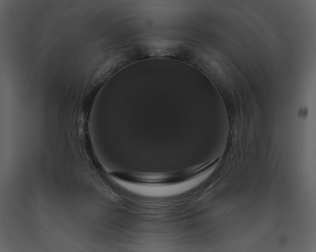 X0000091210219200708231615