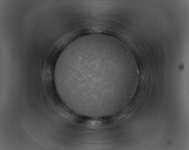 X0000091210220200708231615