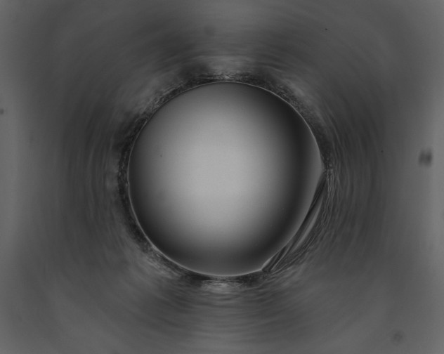 X0000091210221200708231615