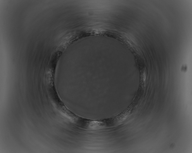 X0000091210222200708231615