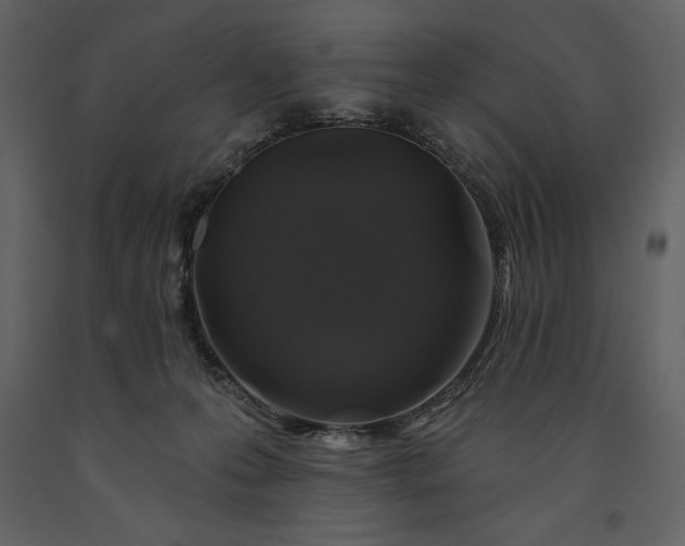 X0000091210223200708231615