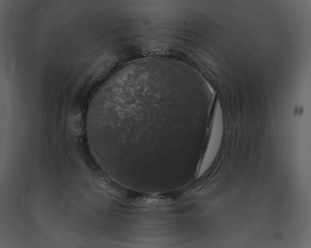 X0000091210224200708231615