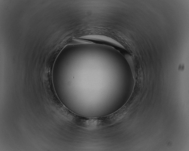 X0000091210225200708231615