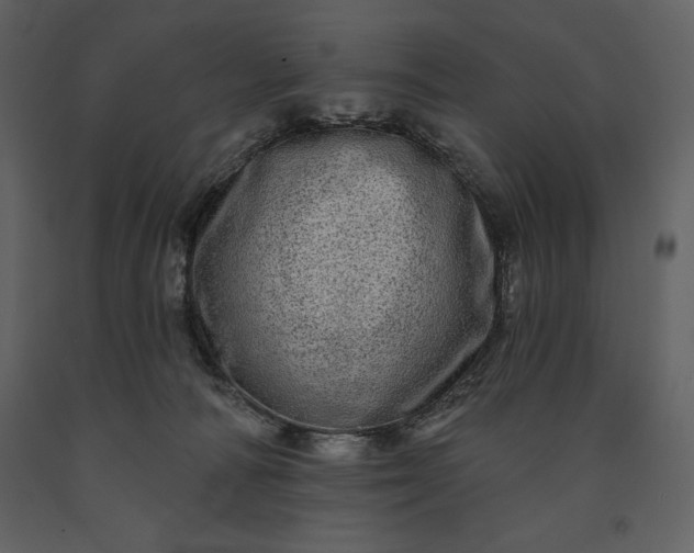 X0000091210226200708231615