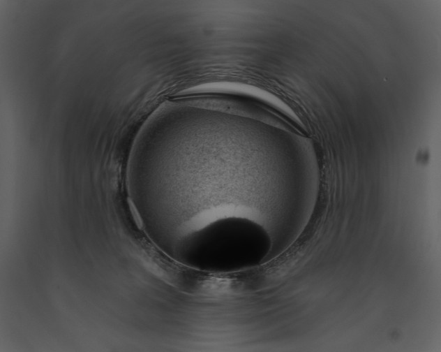 X0000091210227200708231615