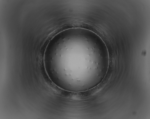 X0000091210228200708231615