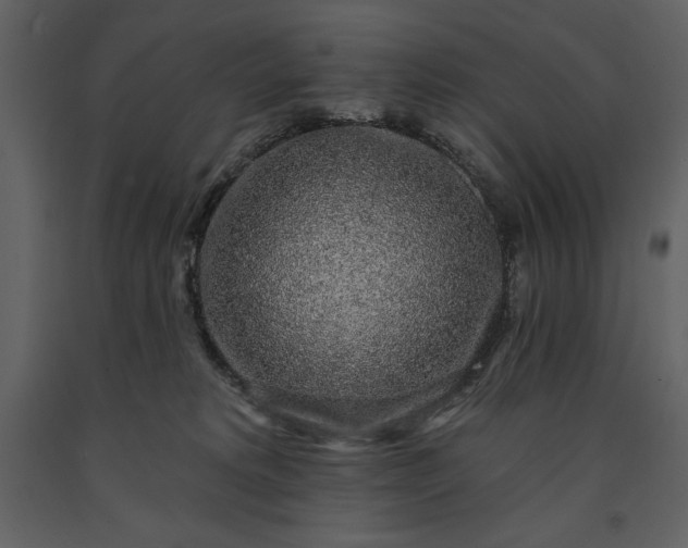 X0000091210229200708231615