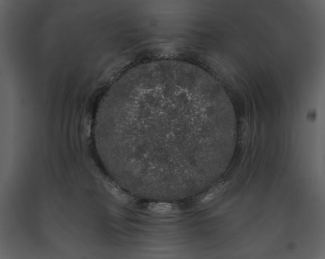 X0000091210230200708231615