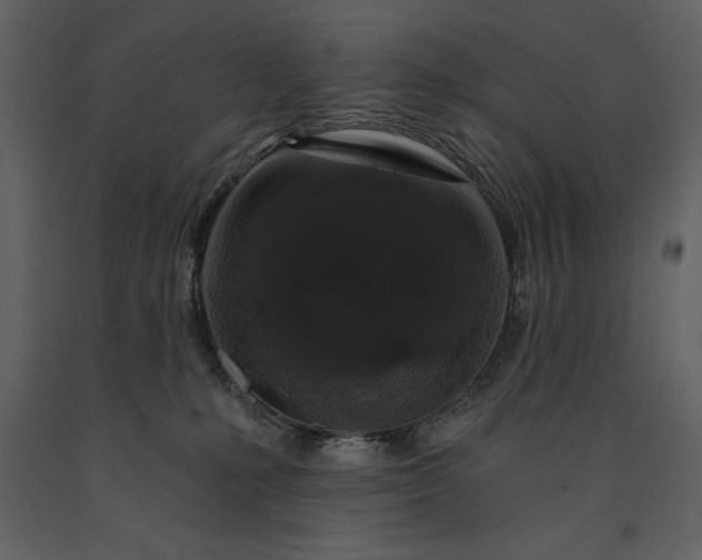 X0000091210231200708231615