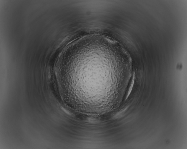 X0000091210232200708231615