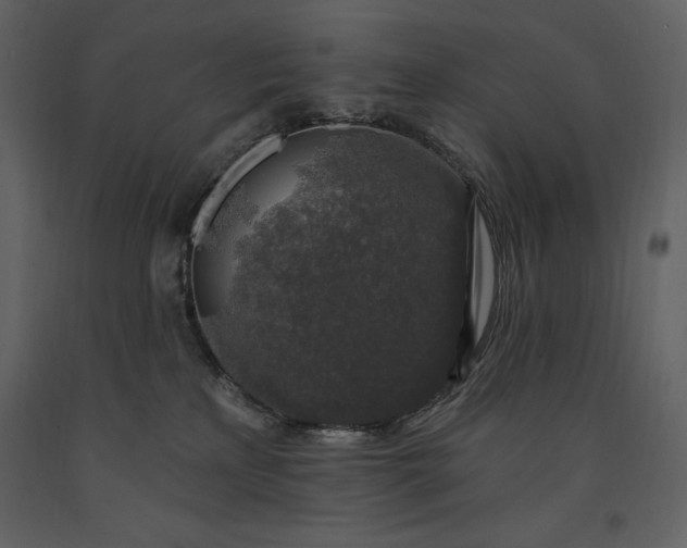 X0000091210233200708231615