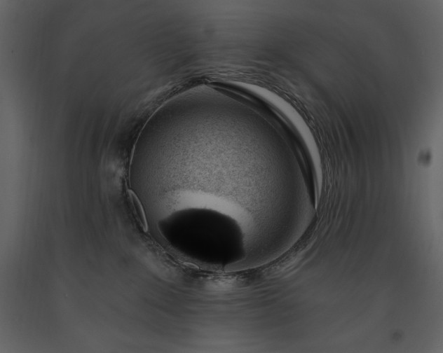 X0000091210235200708231615