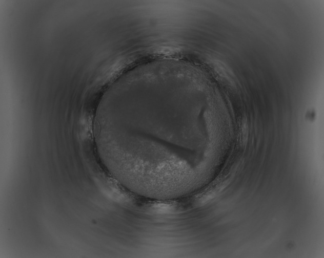 X0000091210236200708231615