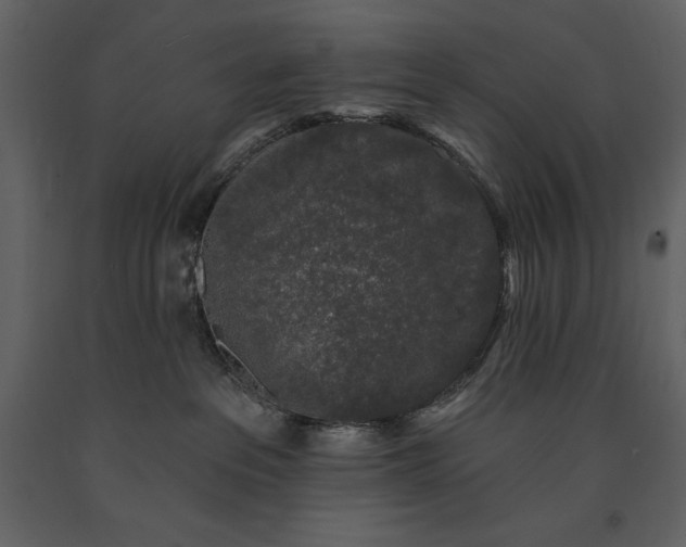 X0000091210237200708231615