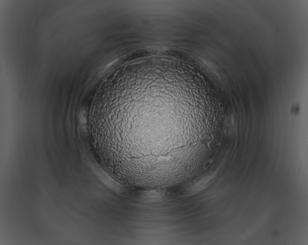 X0000091210238200708231615