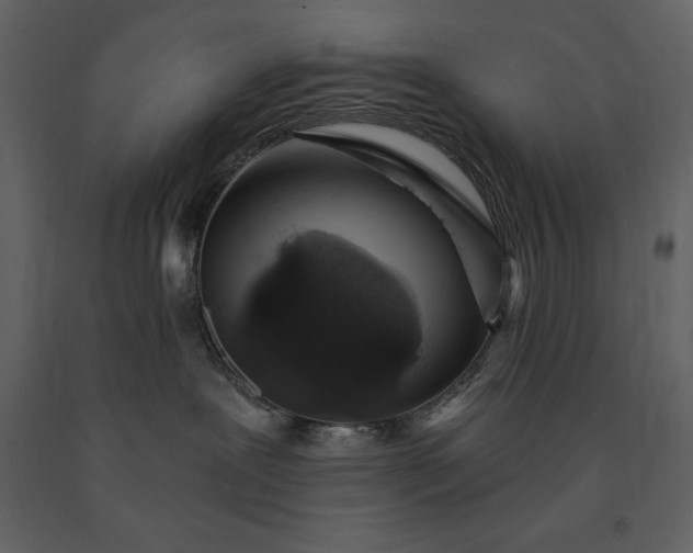 X0000091210239200708231615